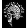 Broken Noise