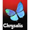 Chrysalis
