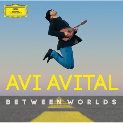 AVITAL AVI 