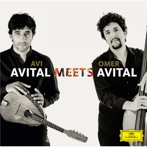 AVITAL AVI 