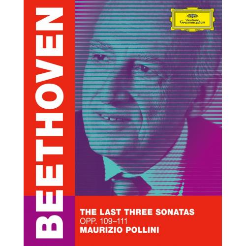 POLLINI MAURIZIO 