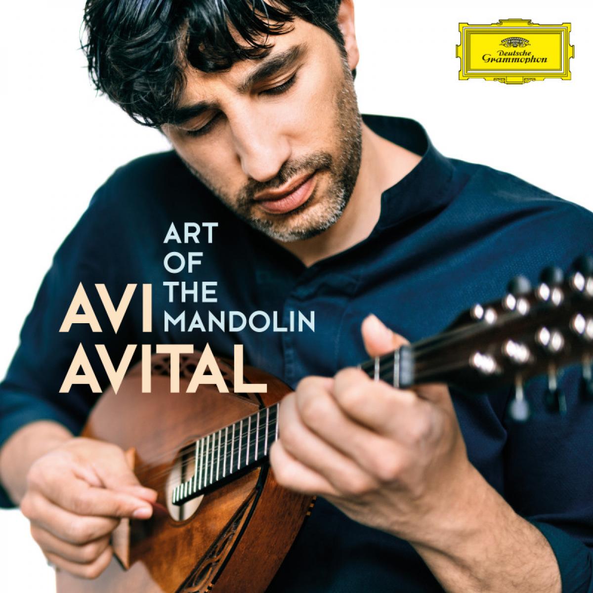 AVITAL AVI 