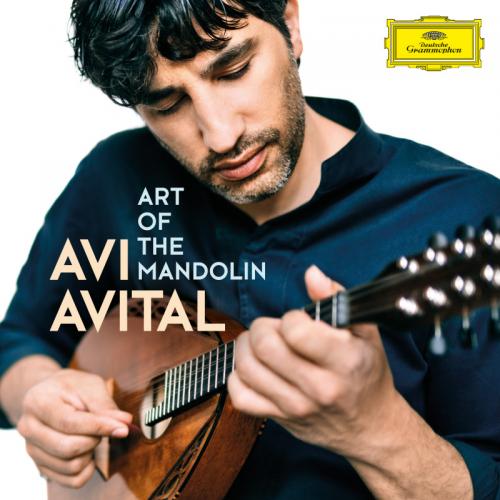 AVITAL AVI 