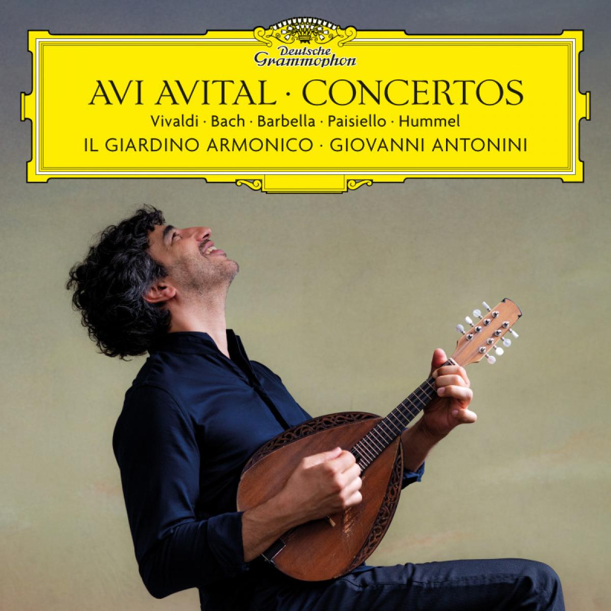 AVITAL AVI 