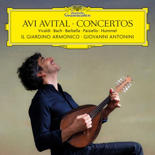 AVITAL AVI 