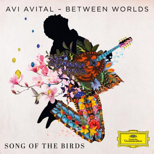 AVITAL AVI 