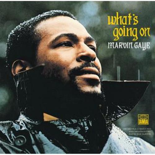 GAYE MARVIN 