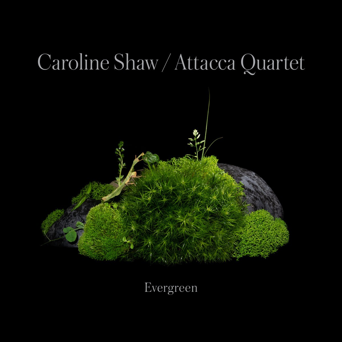 SHAW, CAROLINE & ATTACCA QUARTET 