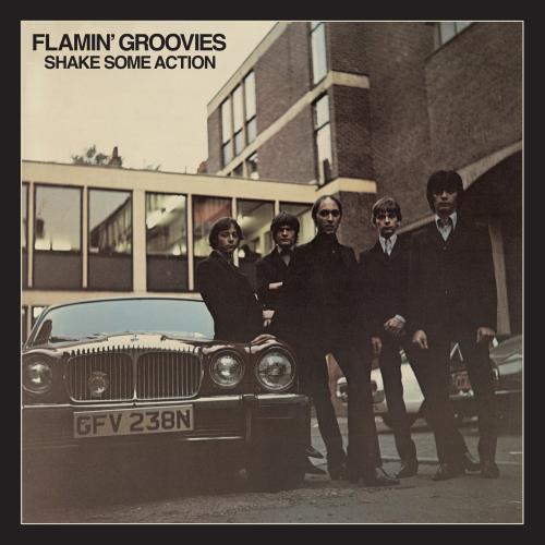 FLAMIN' GROOVIES, THE 