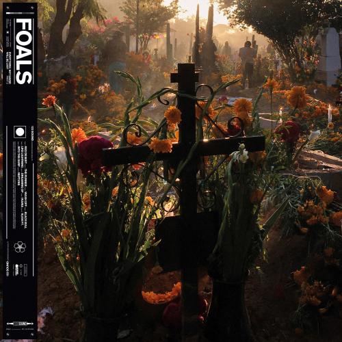 FOALS 