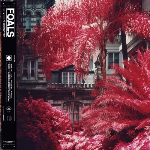 FOALS 