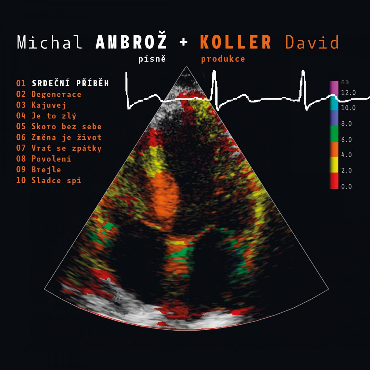 AMBROZ, MICHAL & DAVID KOLLER 