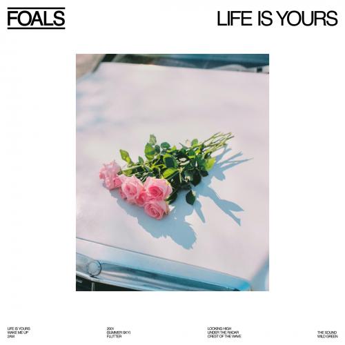FOALS 