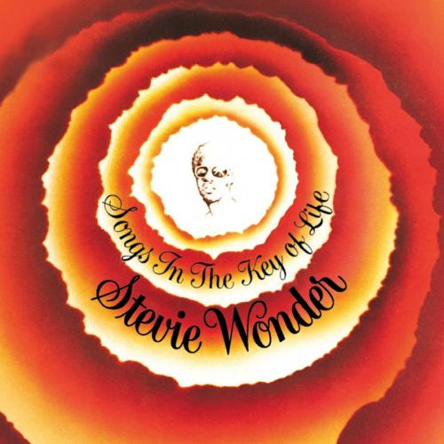 WONDER STEVIE 