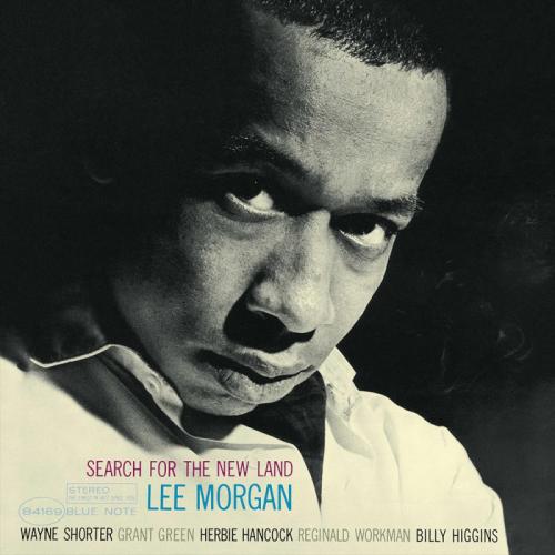 MORGAN LEE 