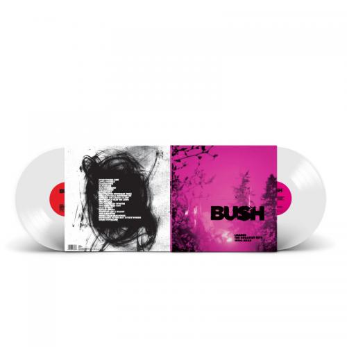 BUSH 