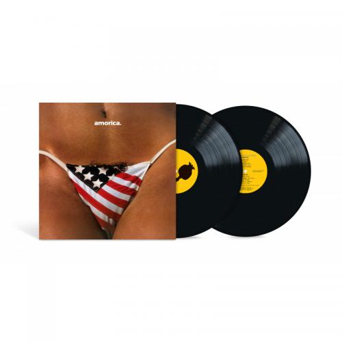 THE BLACK CROWES 
