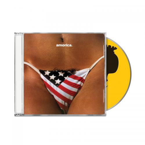 THE BLACK CROWES 