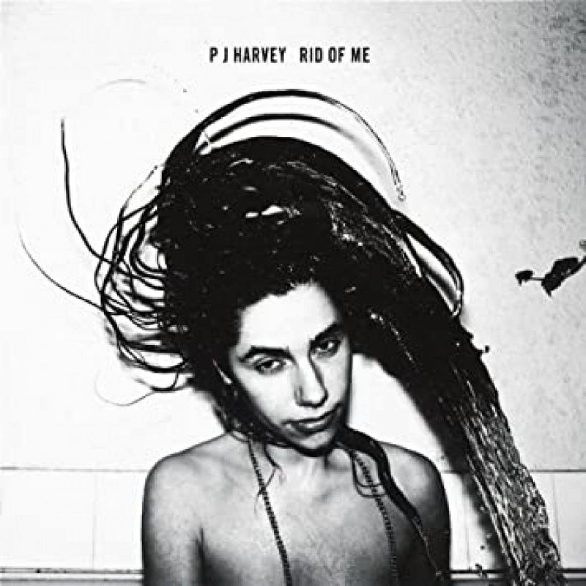 PJ HARVEY 