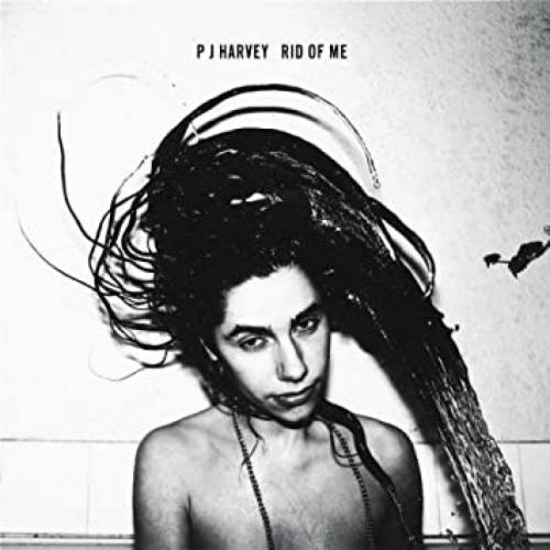 PJ HARVEY 