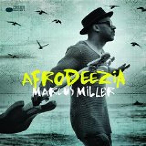 MILLER MARCUS 