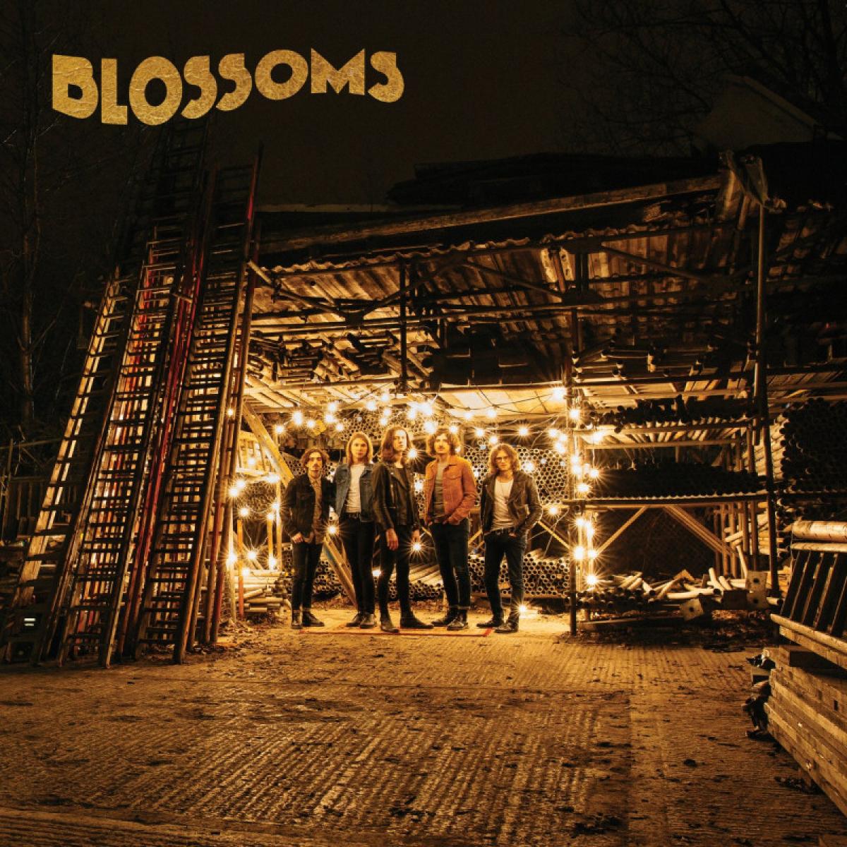 BLOSSOMS 