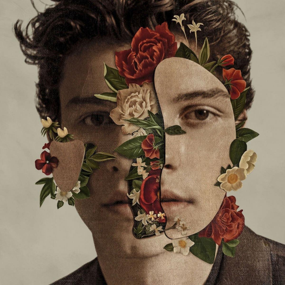 MENDES SHAWN 