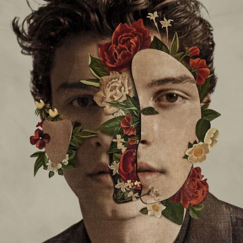 MENDES SHAWN 