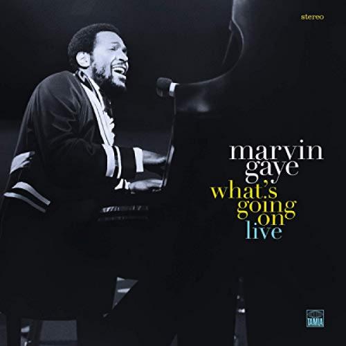 GAYE MARVIN 
