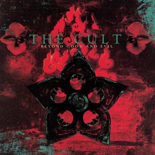 CULT, THE 
