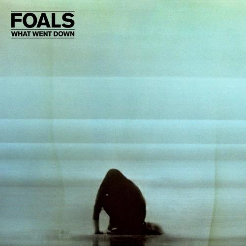 FOALS 