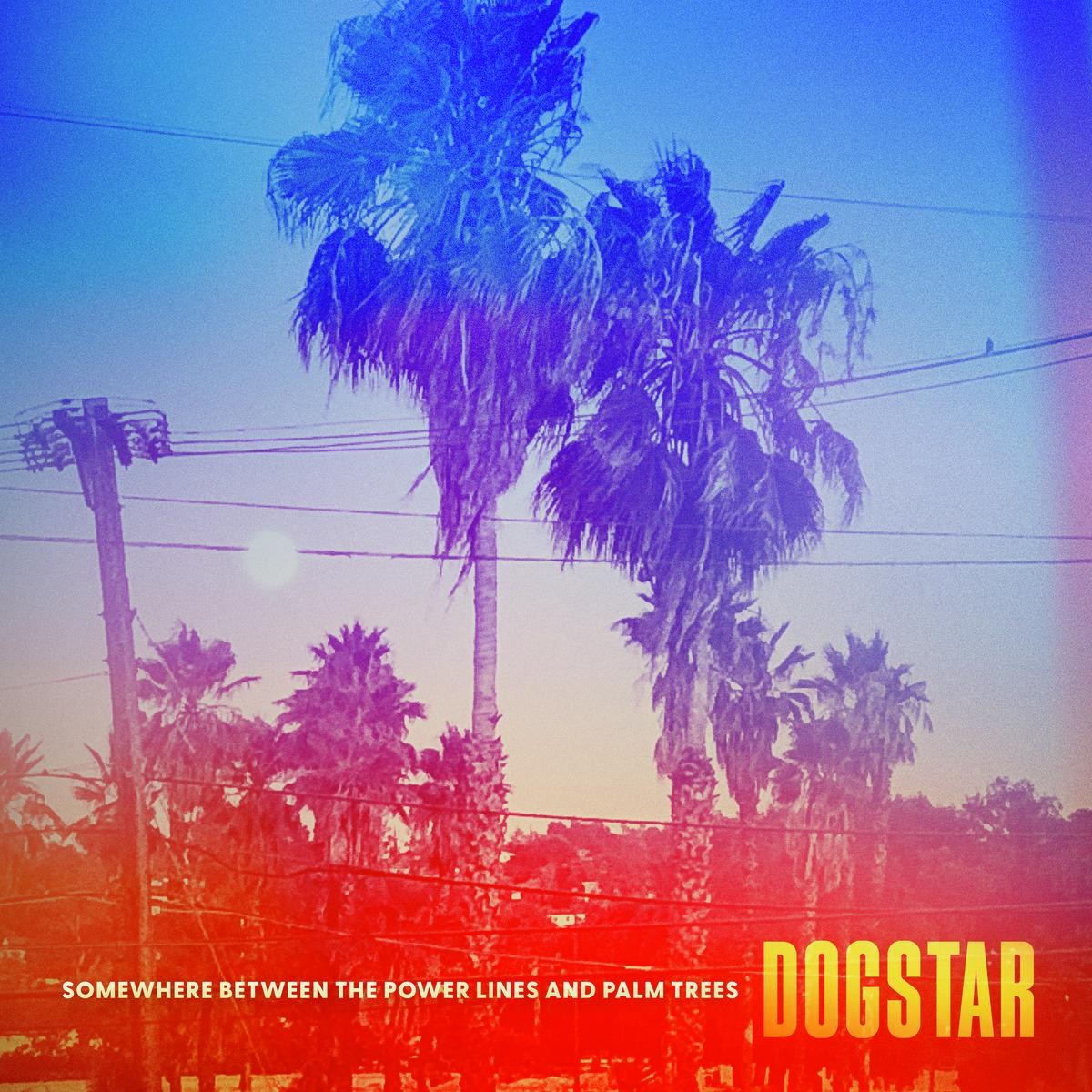 DOGSTAR 