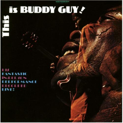 GUY BUDDY 