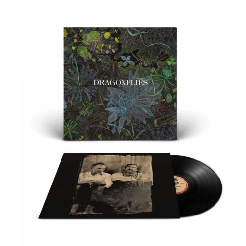 THE DRAGONFLIES 