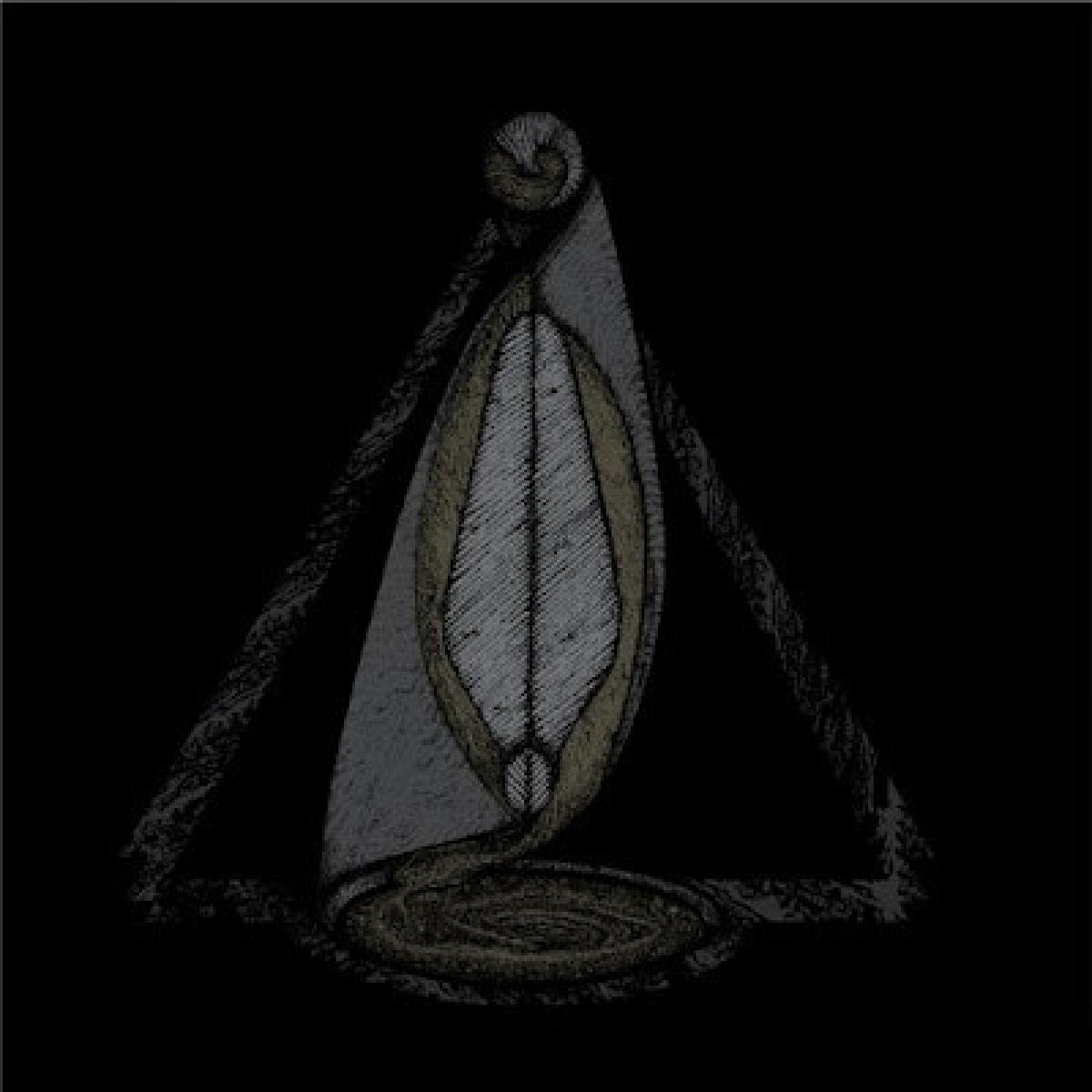 Dephosphorus "Night Sky Transform" LP