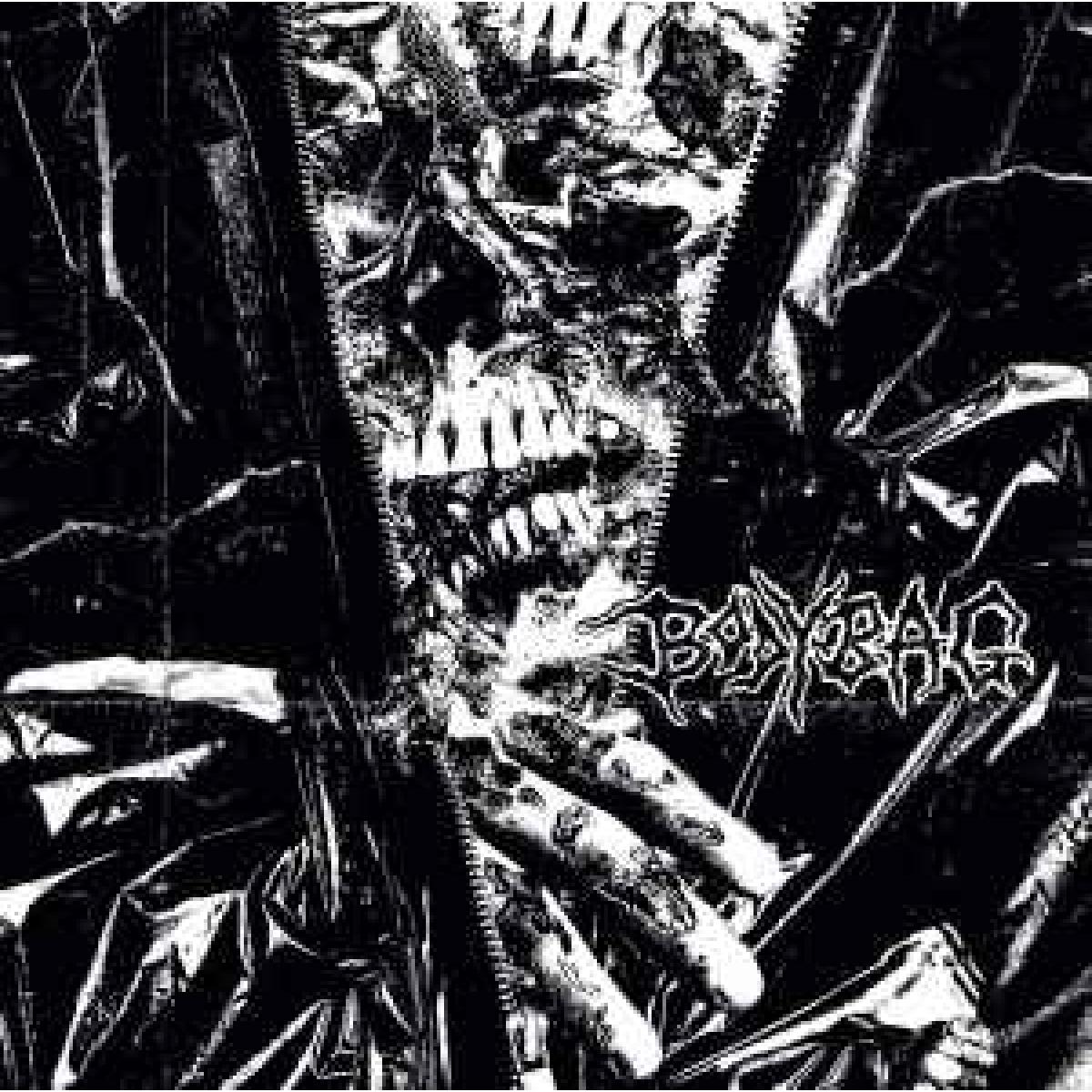 Bodybag "Discography" 2LP