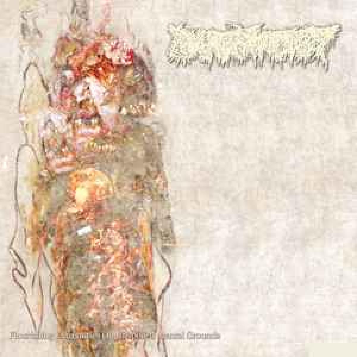 Pharmacist "Flourishing Extremities On Unspoiled Mental Grounds" LP
