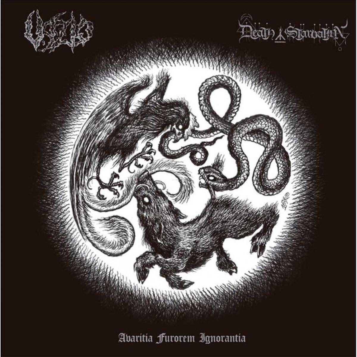 Death By Starvation / Vazio split LP