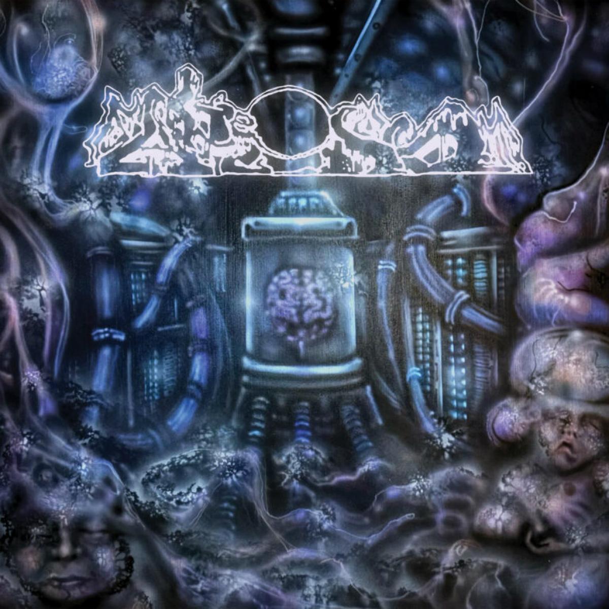 Fake Dust "Decrepitizing Din Of The Cerebral Psyopticon" LP