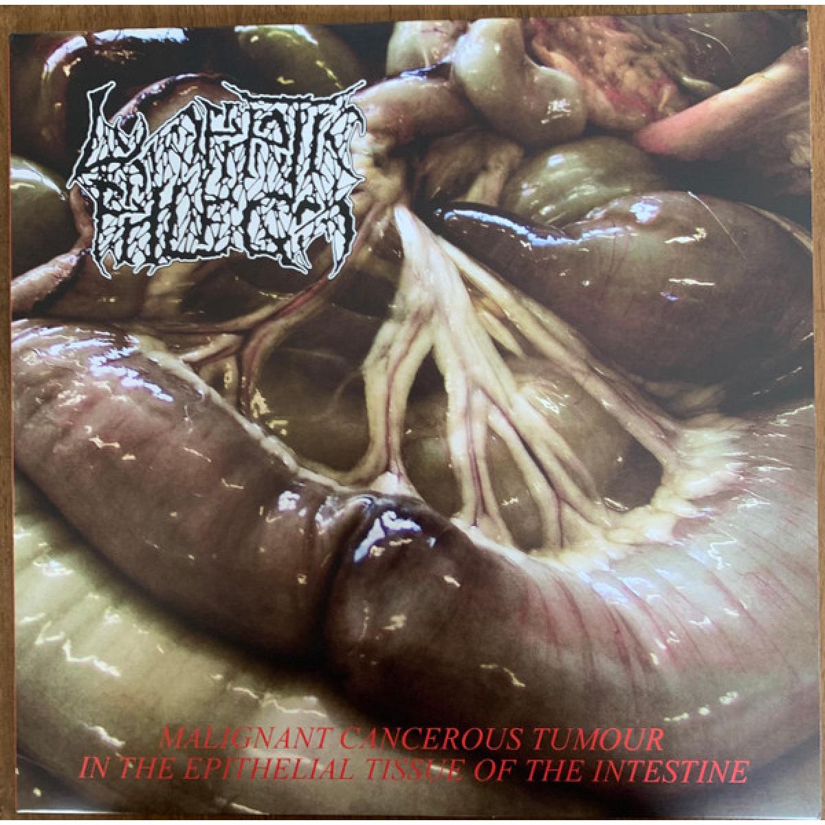 Lymphatic Phlegm / Flesh Grinder split LP 
