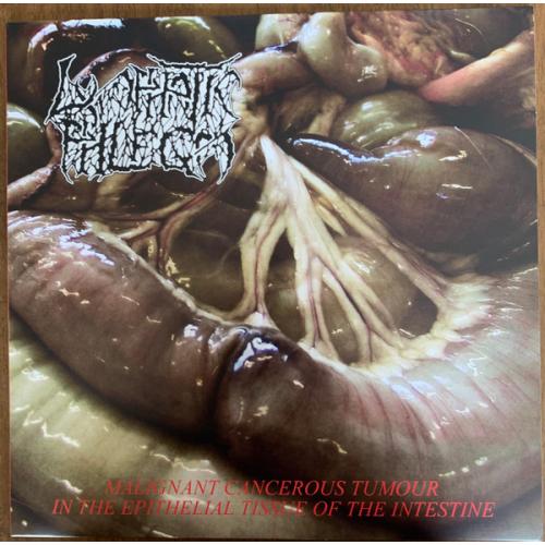 Lymphatic Phlegm / Flesh Grinder split LP 